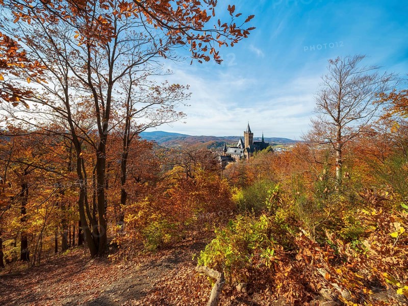 View from Agnesberg on Wernigerode Castle in autumn