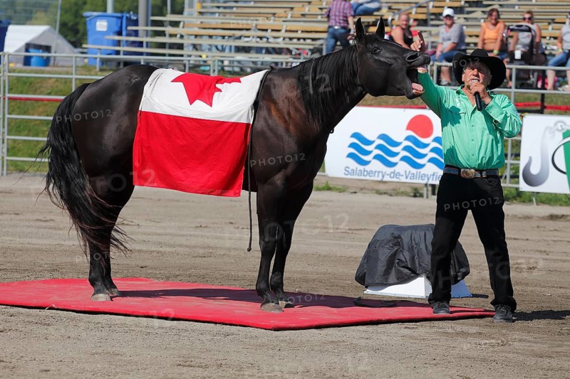 Mustang Showtime at the Rodeo