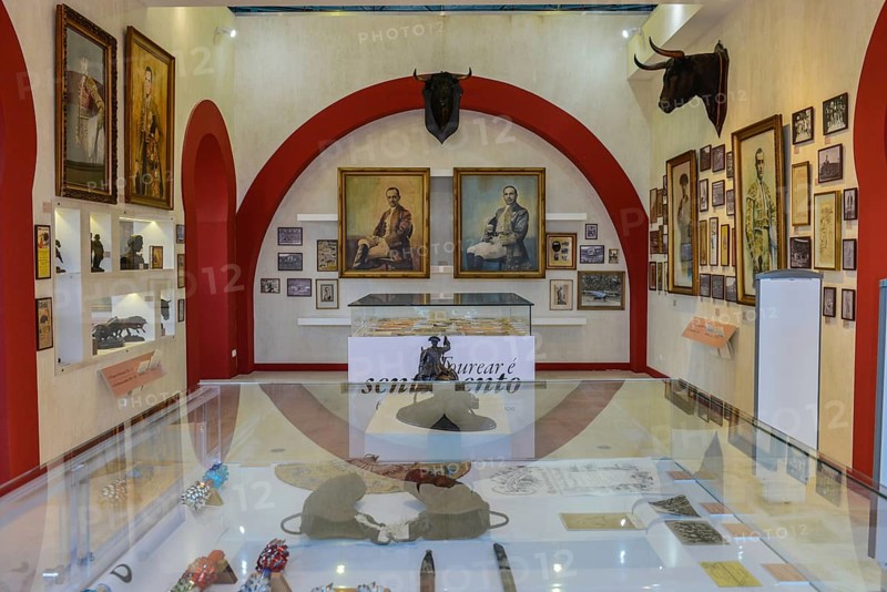 Bullfighting Museum