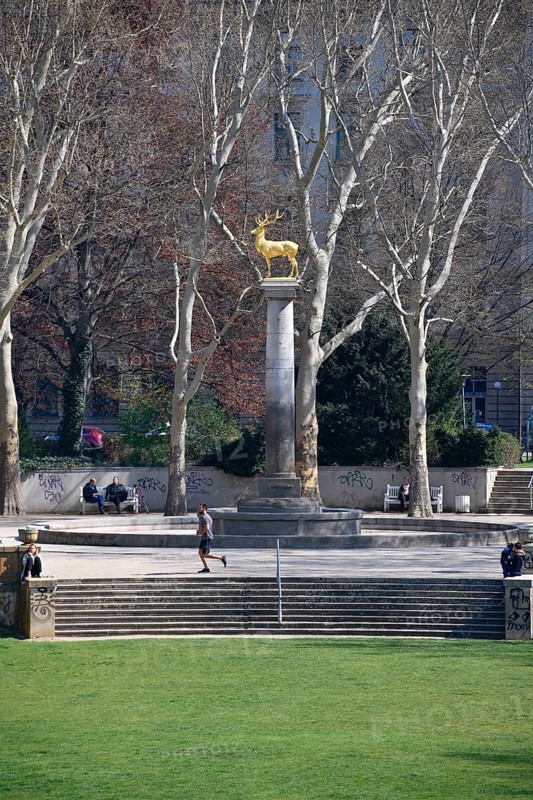 Fountain Zum Goldenen Hirschen