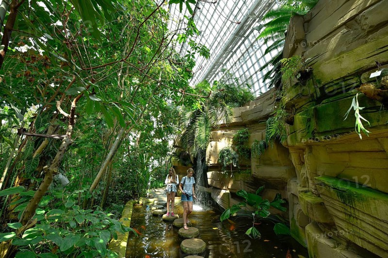 Large Tropical House