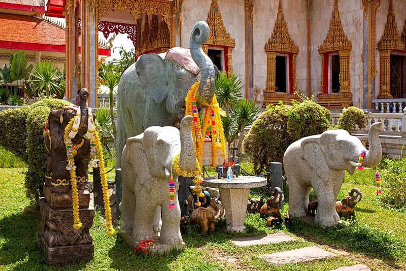 Wat Chalong Pilgrimage Site