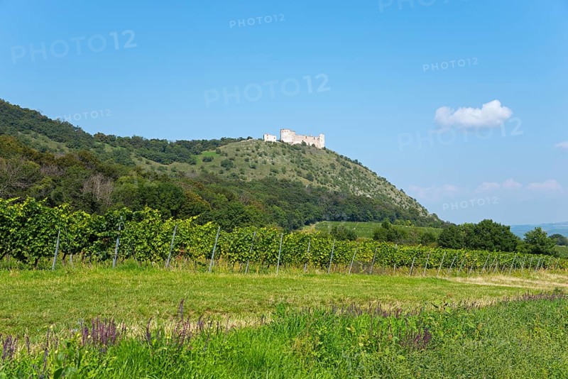 Devicky Castle Ruin