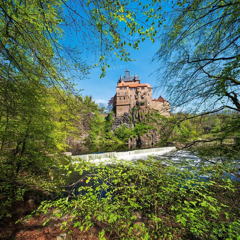 Kriebstein castle near Mittweida framed by beech trees in spring