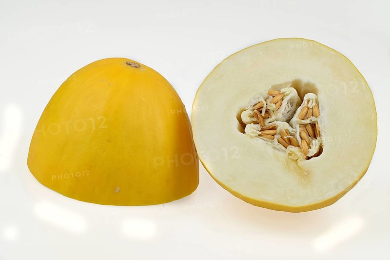 Honeydew melon