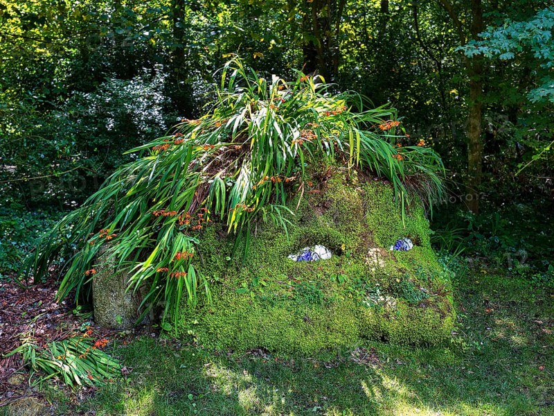 Plant Sculpture