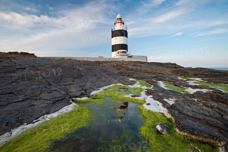 Reflection in the algae at Hook Head Lighthouse