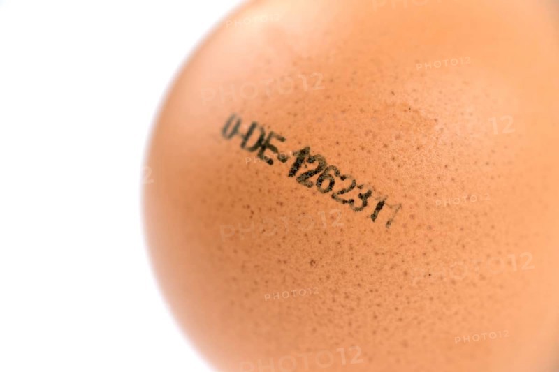 Egg