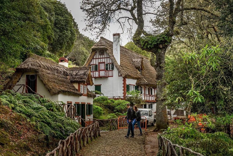 Forester's Lodge