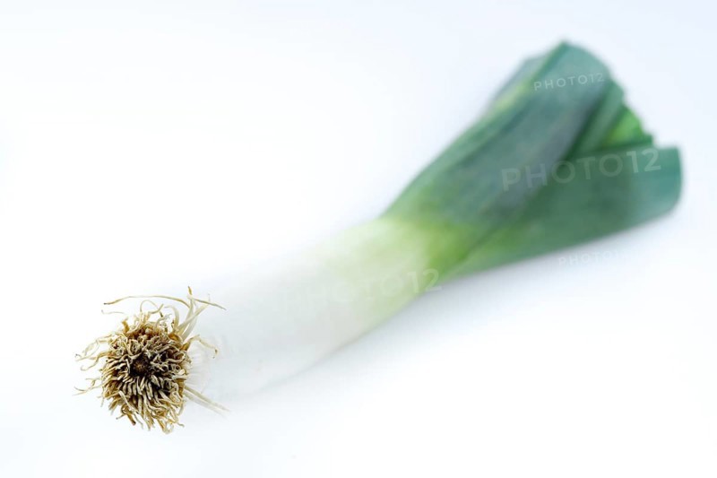 Leek