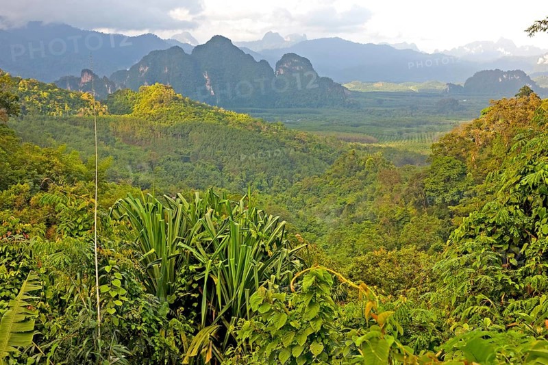 Khao Sok National Park/ Khao Sok National Park