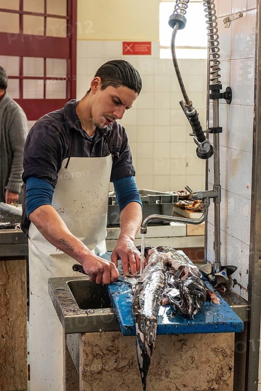 Fish market