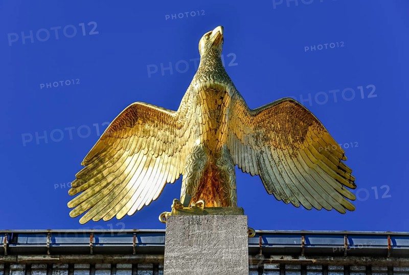 Golden Eagle