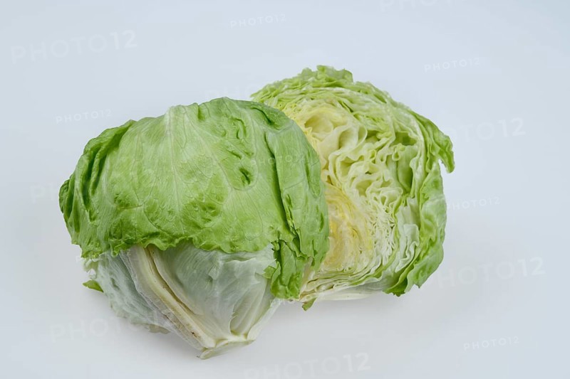 Butterhead lettuce