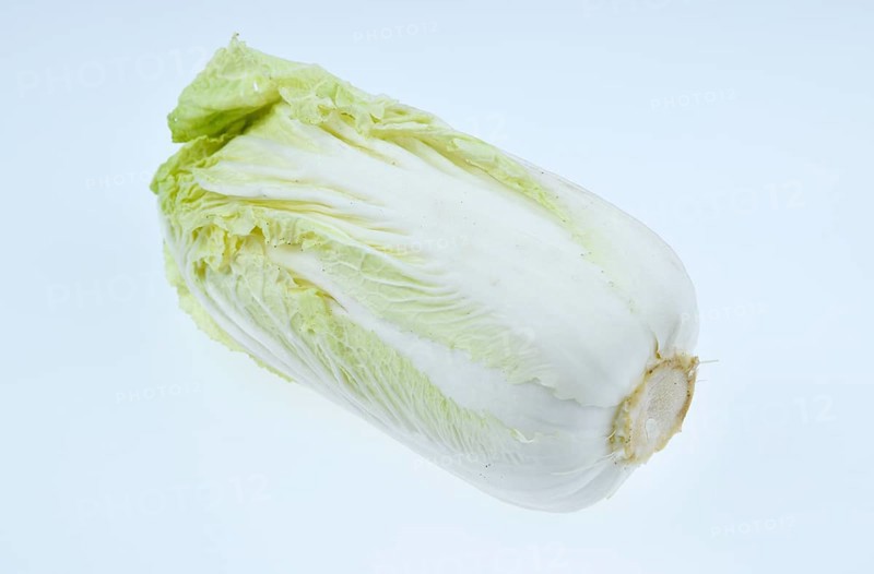 Brassica rapa