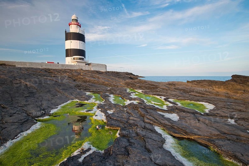 Reflection in the algae at Hook Head Lighthouse