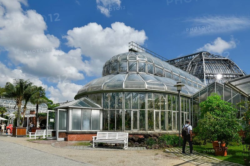 Fern House