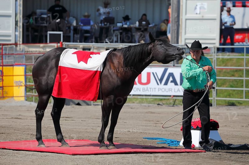 Mustang Showtime at the Rodeo