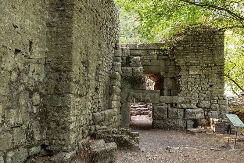Lion's Gate