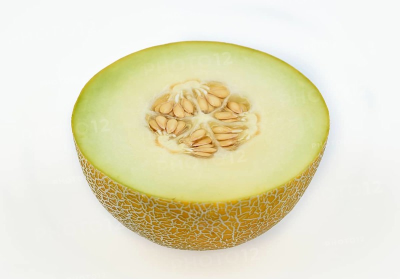 Muskmelon
