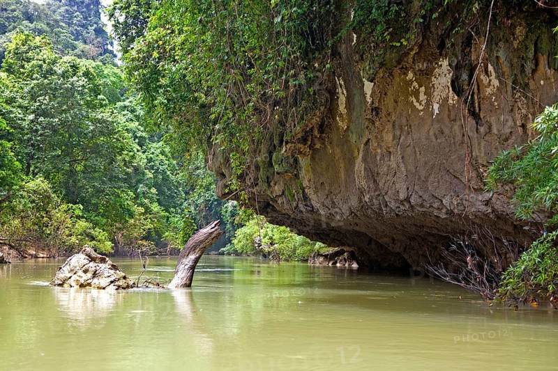 Khao Sok National Park/ Khao Sok National Park