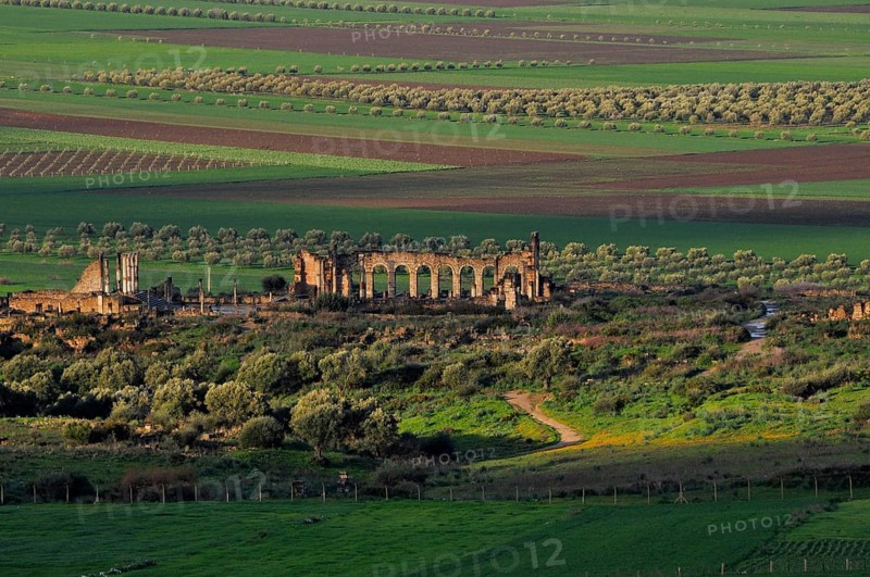 Volubilis Ruins