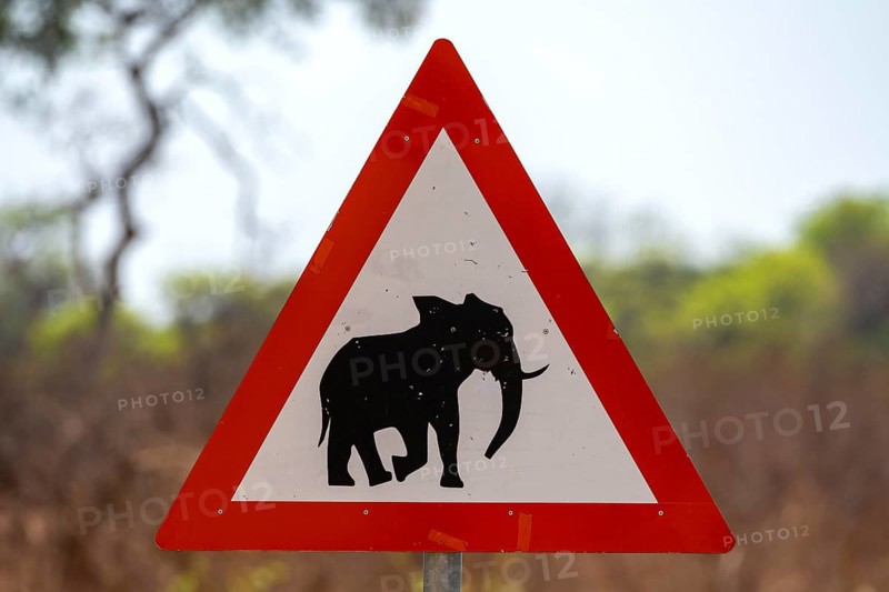 Road sign with elephant