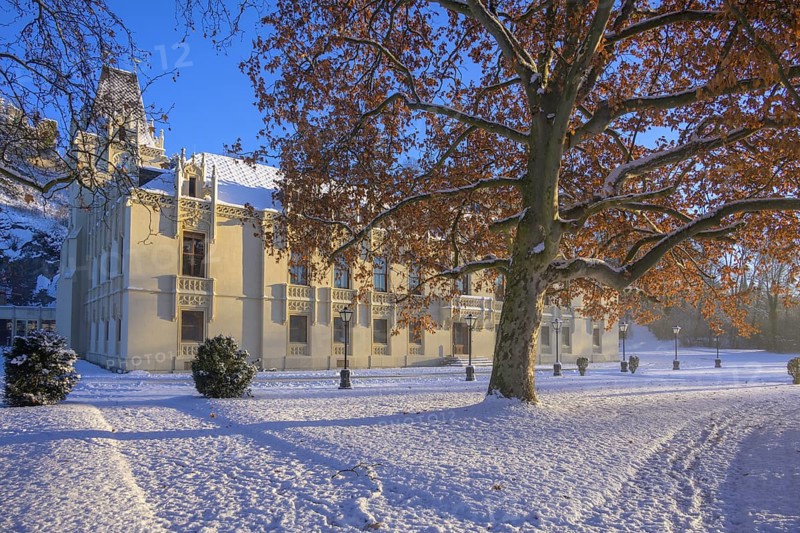 Winter Castle