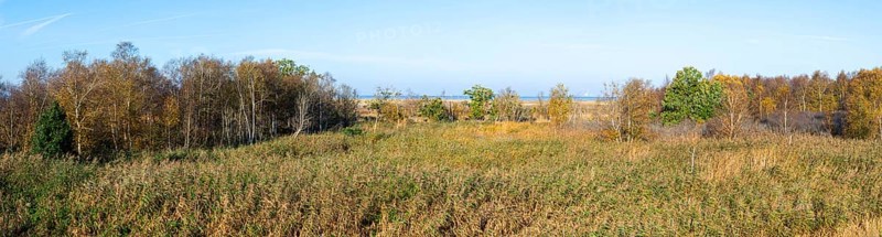 Panorama floating bog