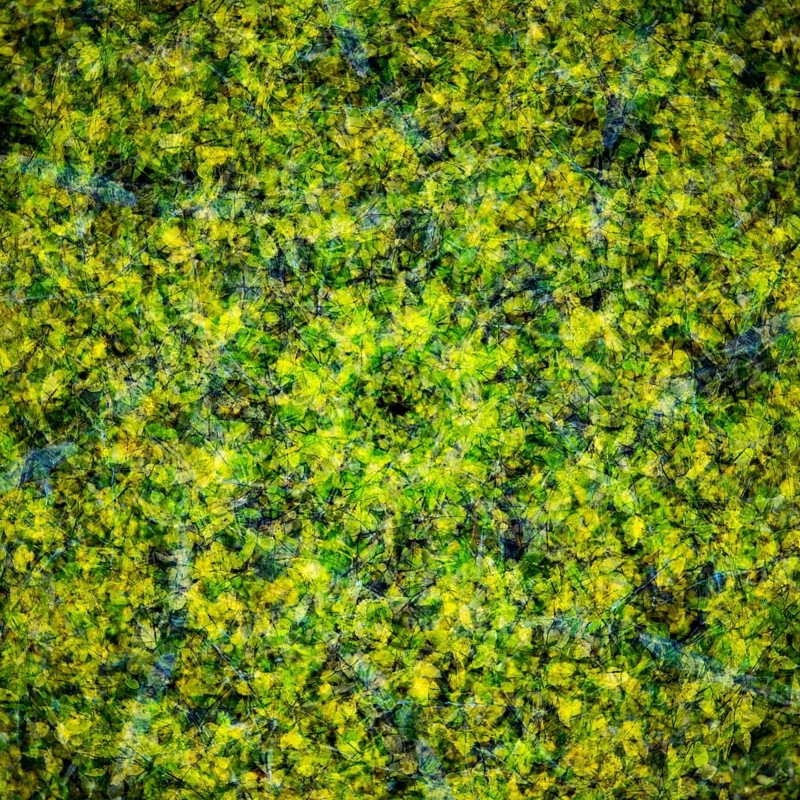 Autumn mosaic