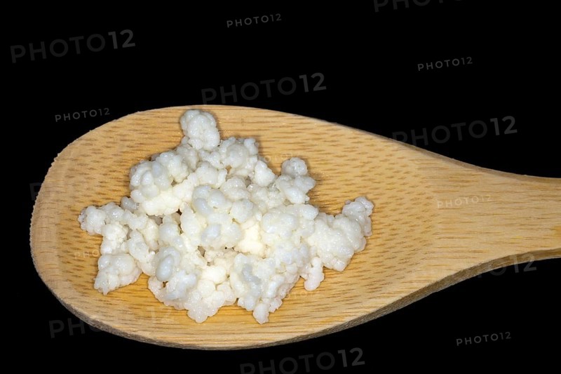 Kefir mushrooms