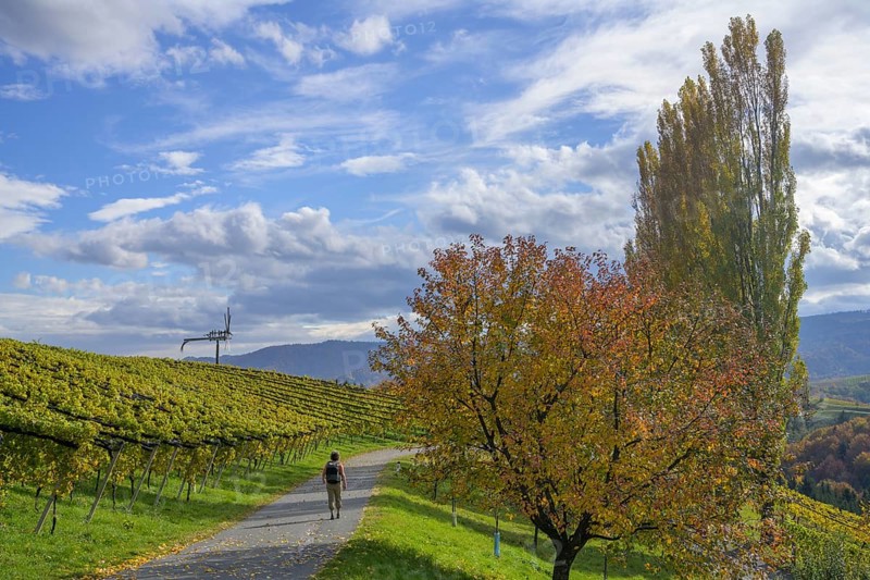 Hiker walking on side road towards Klapotetz