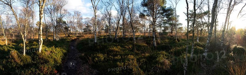 Panorama Mohlberger Dose