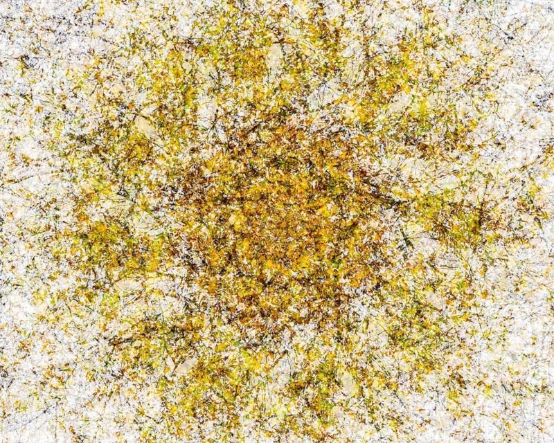 Autumn mosaic