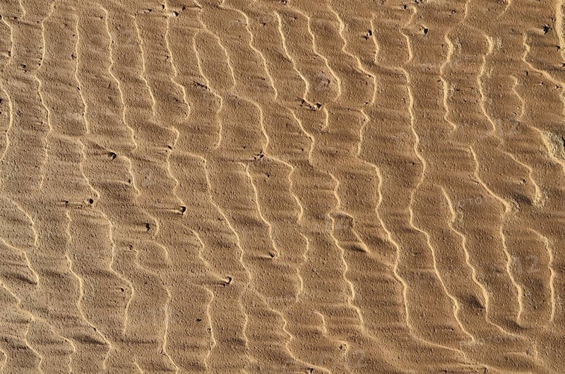 Wavy formation on clay soil on the river bank after flooding