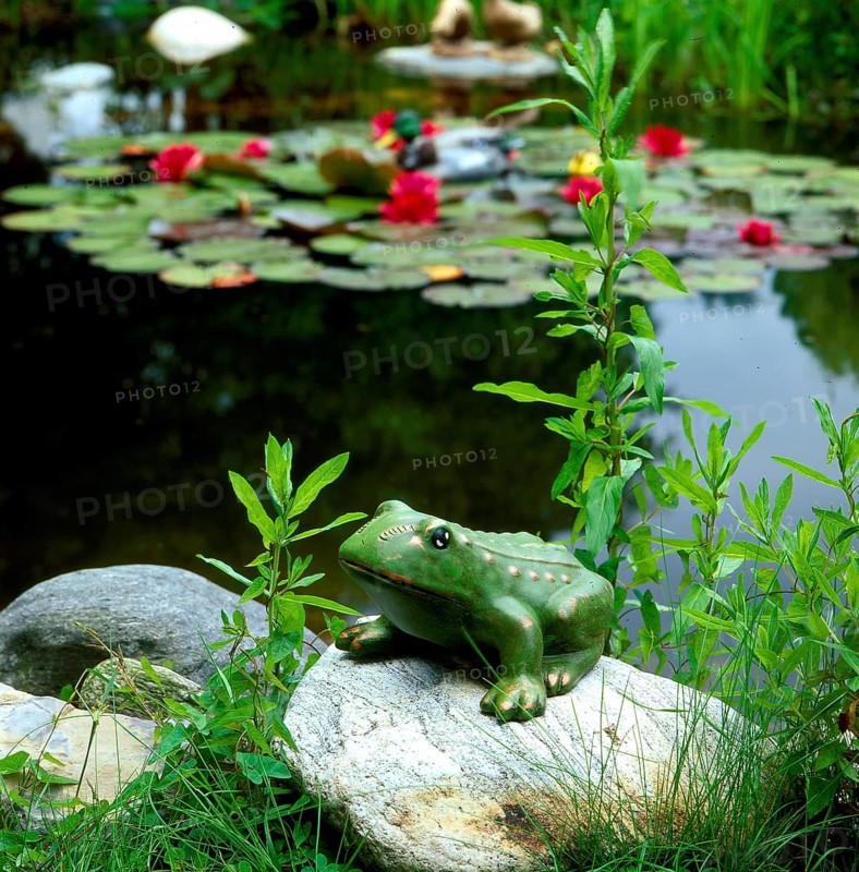 Frog figure in the garden pond