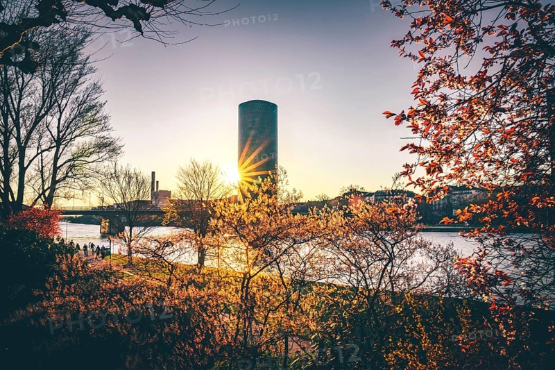 View through bushes of the Westhafen Tower in Frankfurt