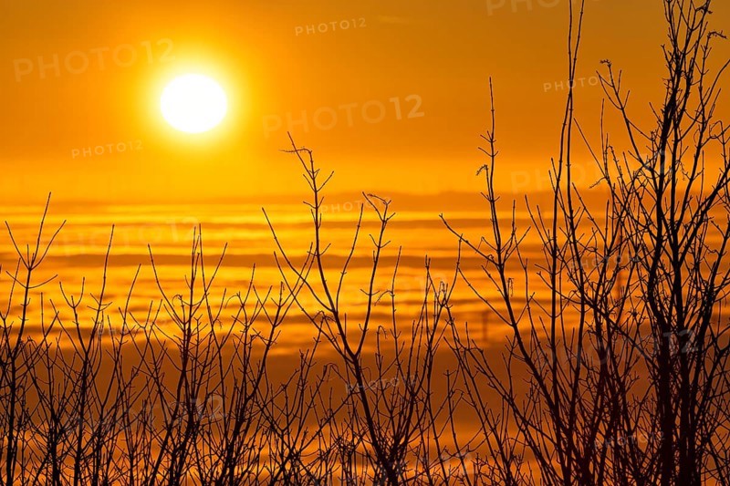 Sunset behind bare bushes on a peak