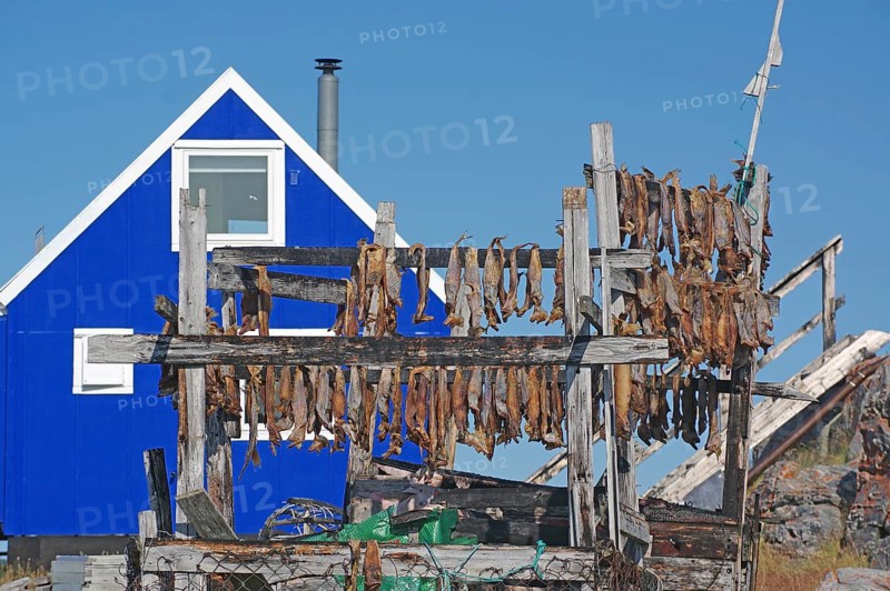 Racks of dried fish in front of simple wooden houses