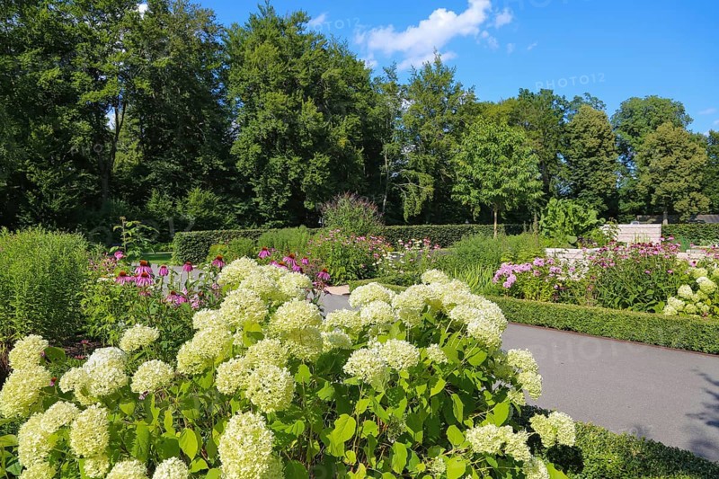 Garden of Eden