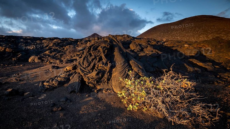 Typical volcanic landscape at La Restinga at sunset