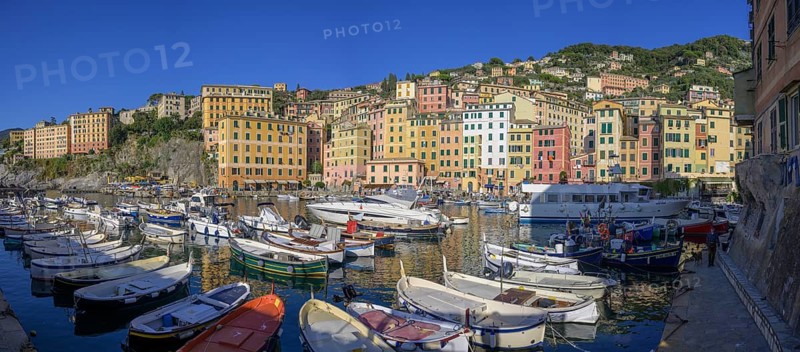 Harbour with fishing boats and historic skyscrapers