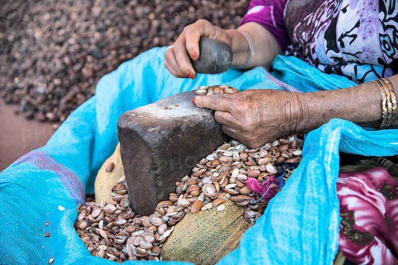 Woman knocks open the hard kernels of the argan nut with the help of two stones