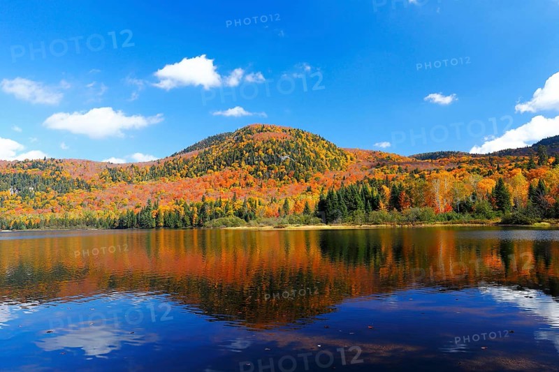 Autumn colours