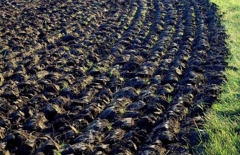 Tilled