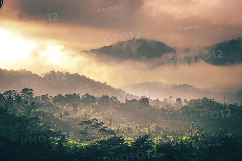 Landscape with rice terraces and forests