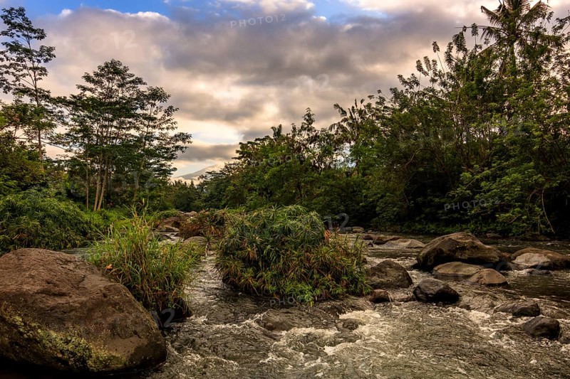 River with jungle