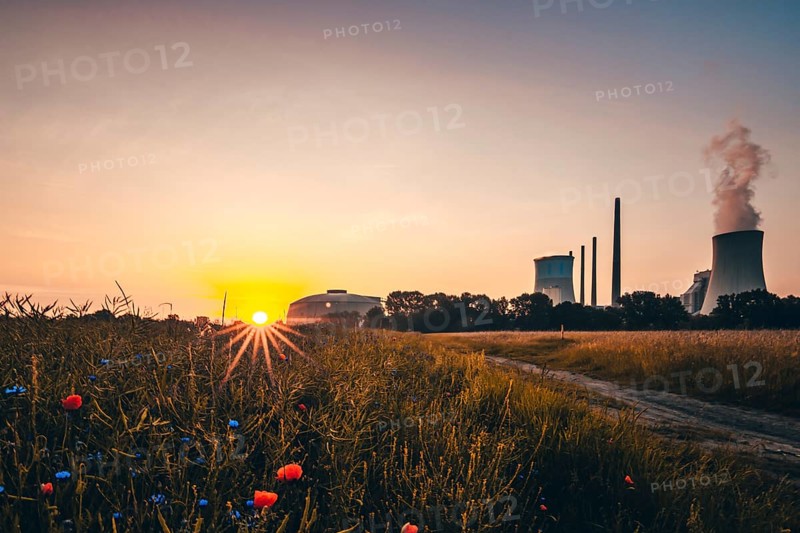 Beautiful sunrise in a field