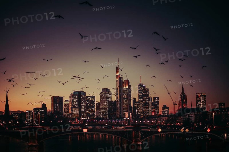 View of Frankfurt and the illuminated Frankfurt skyline