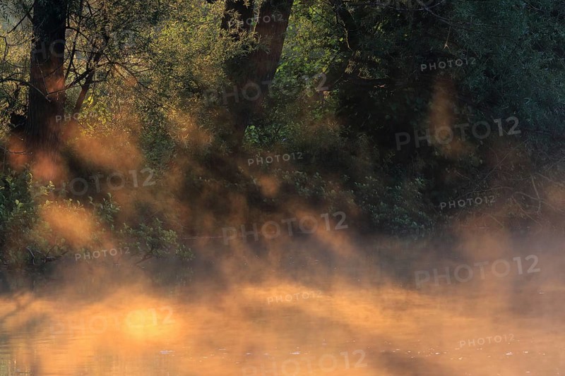 Sun shining through fog
